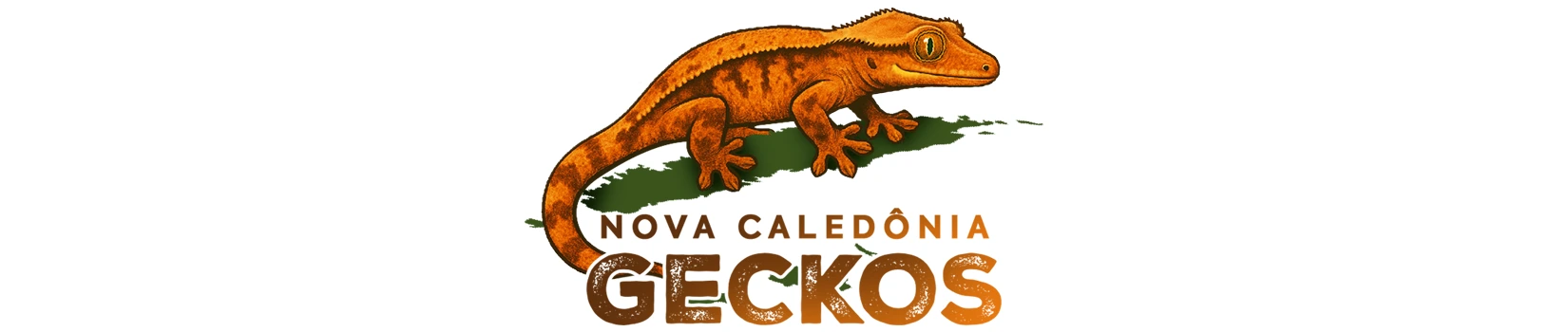 Nova Caledonia Geckos